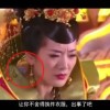 151期一肖一码必中特